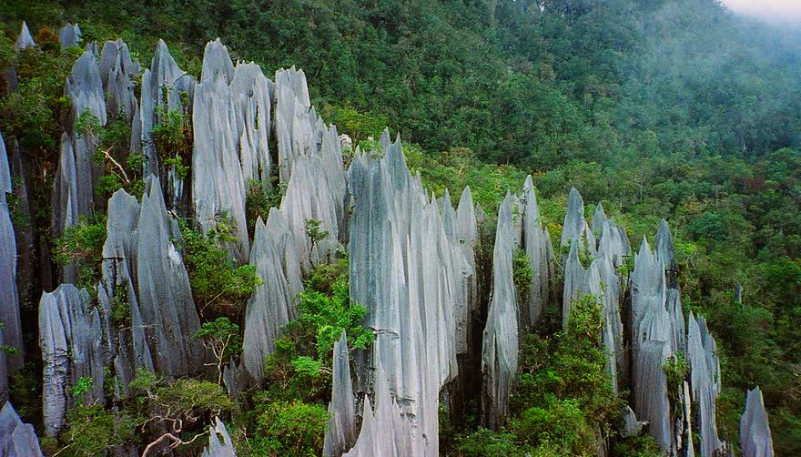 Borneo