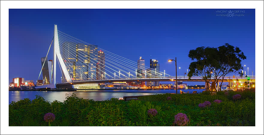 Rotterdam